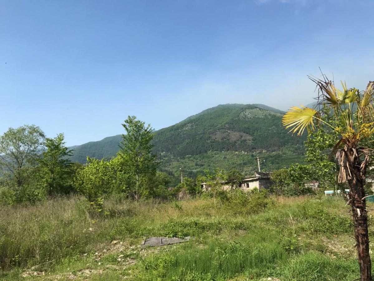Ainar Hotel Gagra Exterior photo