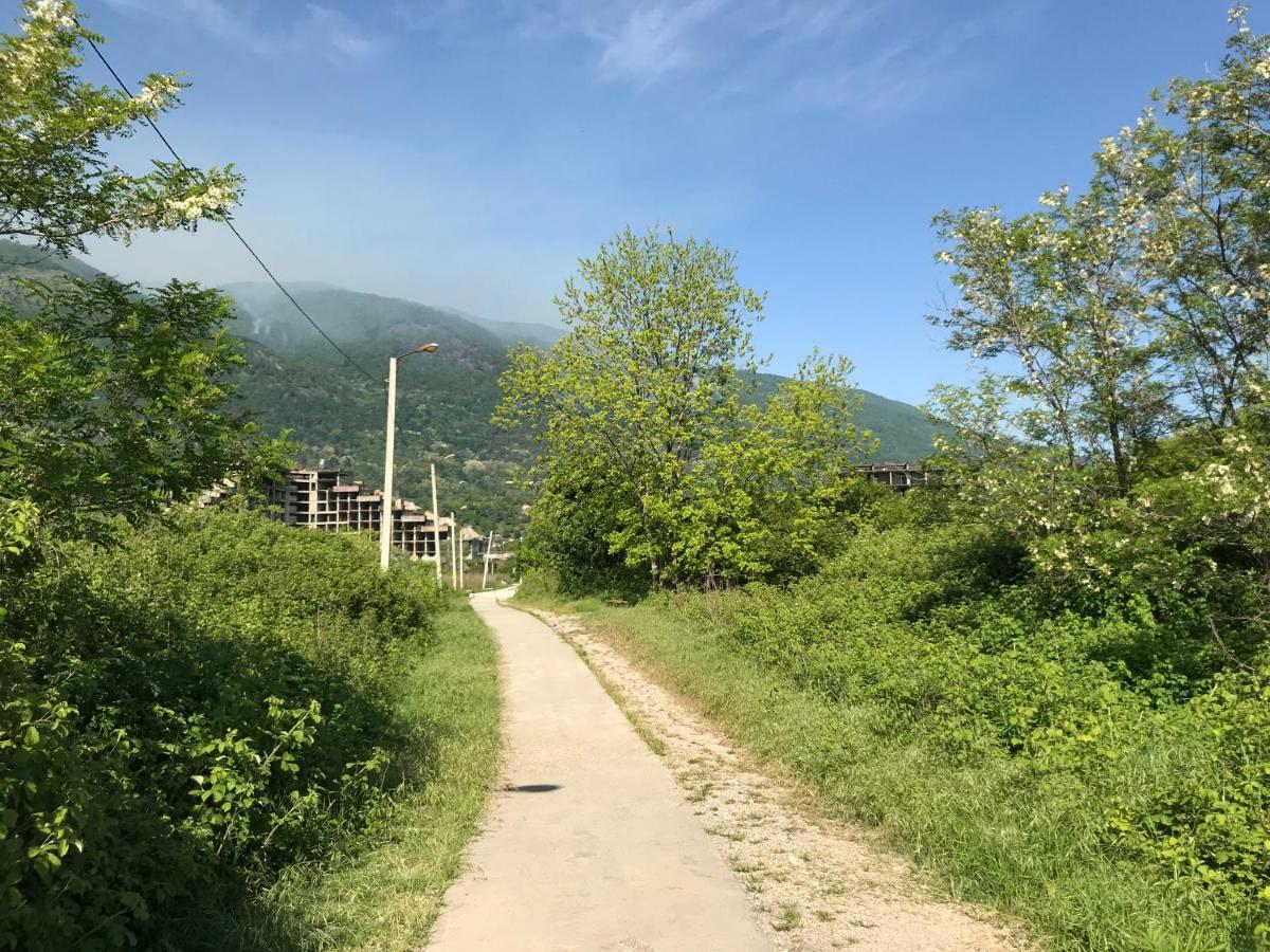 Ainar Hotel Gagra Exterior photo